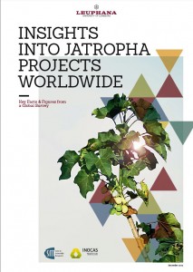 CSM-Leuphana-Jatropha-Studie-2013