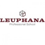 Professional School
