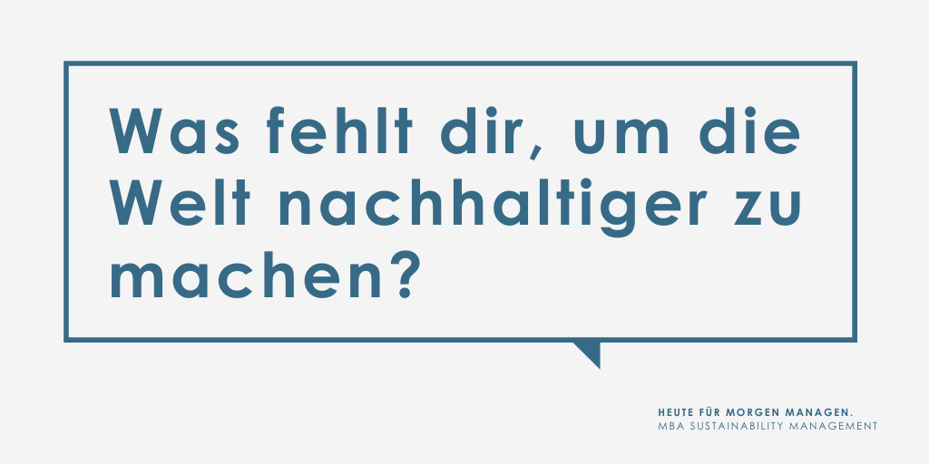 MBA Sustainability Management Zukunftsmacher*innen gesucht