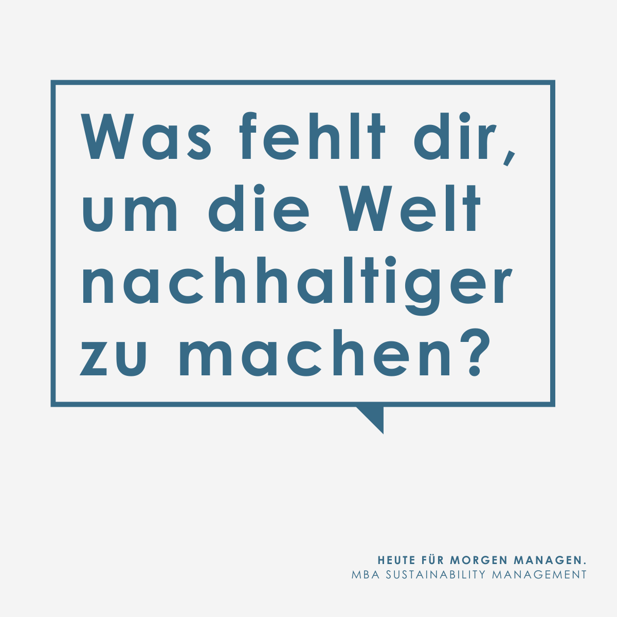 MBA Sustainability Management Zukunftsmacher*innen gesucht