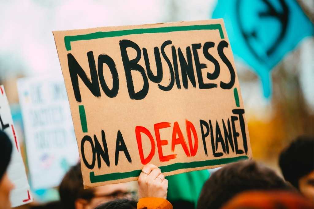 Demo-Plakat mit Aufschrift: No business on a dead planet