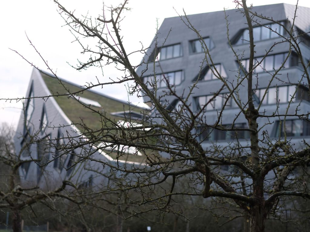 Im Vordergrund sieht man einen Baum, im Hintergrund ist das Leuphana Zentralgebäude zu erkennen.